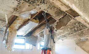 Best Mold Prevention Services  in Mason City, IA